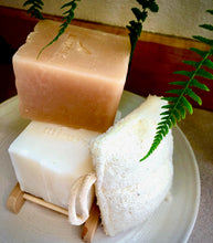 Load image into Gallery viewer, Solid Dish Soap